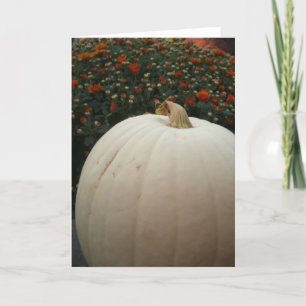 Festiva Tarjeta de Acción de Gracias de Calabaza Blanca