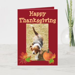 Festiva Tarjeta de "Acción de Gracias Feliz" Basset Hound 