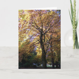 Festiva Tarjeta de Acción de Gracias - Foliage del otoño