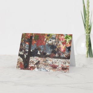 Festiva Tarjeta de Acción de Gracias: Hummingbird en un vi