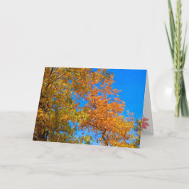 Festiva Tarjeta de Acción de Gracias y Caída 2