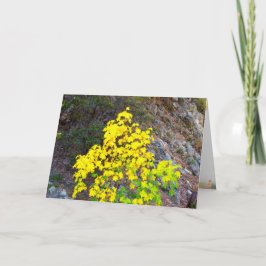 Festiva Tarjeta de Acción de Gracias y Caída 4