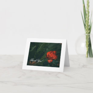 Festiva Tarjeta de agradecimiento de rosa roja hermosa