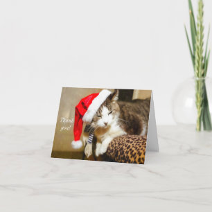 Festiva Tarjeta de agradecimiento de Santa Kitty Painterly
