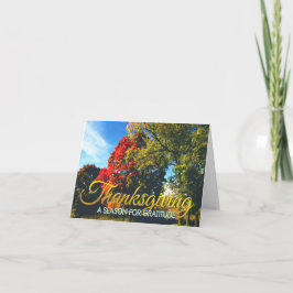 Festiva Tarjeta de agradecimiento profesional 17