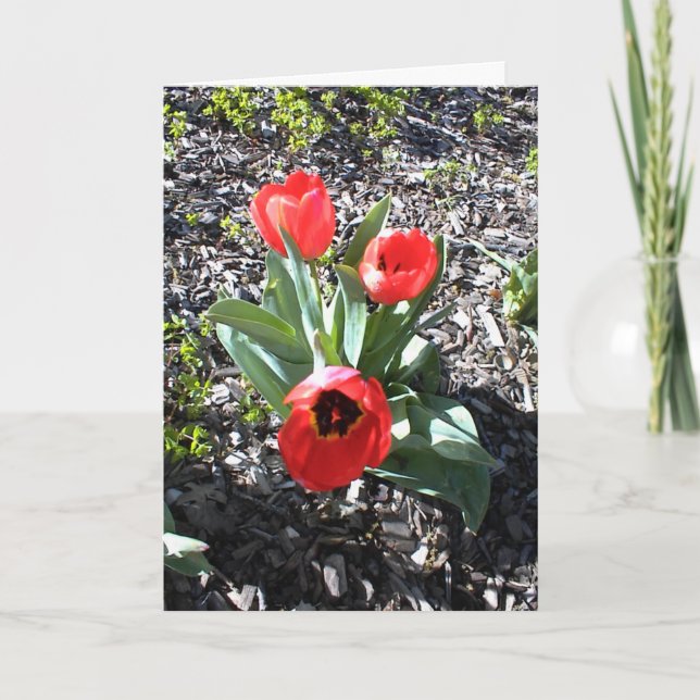 Festiva Tarjeta de aliento inspiradora para las vacaciones (Anverso)