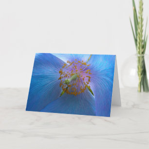 Festiva Tarjeta de amapola azul del Himalaya