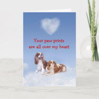 Tarjeta de amor Cavalier King Charles Puppy