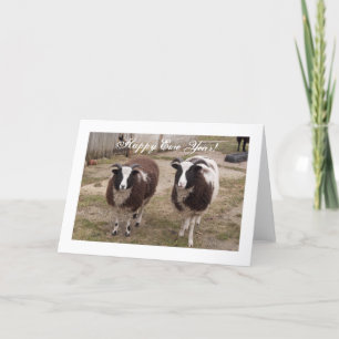 Festiva Tarjeta de Año Nuevo Jacob Sheep "Feliz Año Nuevo"