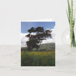 Festiva Tarjeta de árbol Big Sur