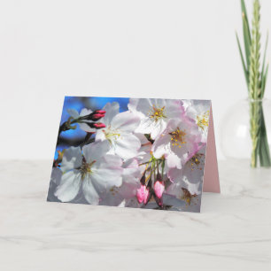 Festiva Tarjeta de árbol con flores de cerezo