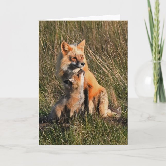Festiva Tarjeta de Arte Frameable Daddy and Baby Fox (Anverso)
