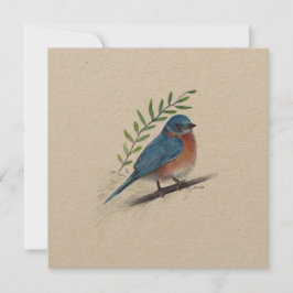 Festiva Tarjeta de aves de arte de Bluebird