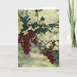 Festiva Tarjeta de Berry