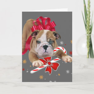Festiva Tarjeta de cachorro de bulldog con Navidades del a