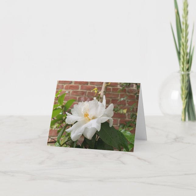 Festiva Tarjeta de camelia (en blanco) (Anverso)