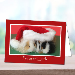 Festiva Tarjeta de cerdo guineana para Navidades cutáneos