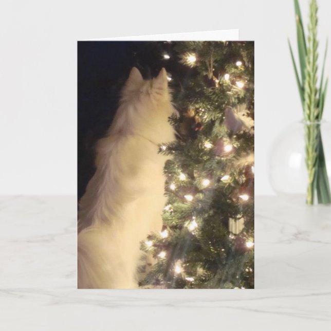 Festiva Tarjeta de Chiristmas (Anverso)