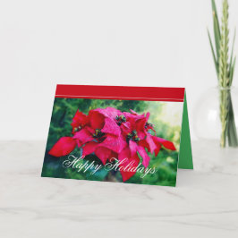 Festiva Tarjeta de cliente de Poinsettia Happy Holidays