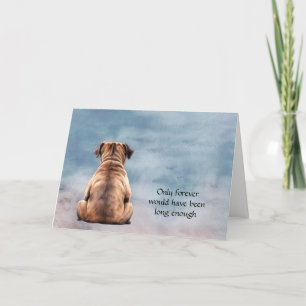 Festiva Tarjeta de condolencia de la simpatía del perro de