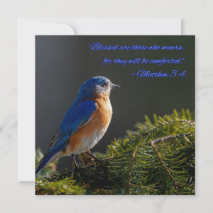 Festiva Tarjeta de condolencias Beautiful Bluebird Mateo 5