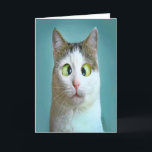 Festiva Tarjeta de cumpleaños de gato loco divertido lindo<br><div class="desc">Tarjeta de felicitación de gato loco divertido lindo por THEORY OF HUMOR Tarjeta de felicitación.</div>