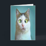 Festiva Tarjeta de cumpleaños de gato loco divertido lindo<br><div class="desc">Tarjeta de felicitación de gato loco divertido lindo por THEORY OF HUMOR Tarjeta de felicitación.</div>