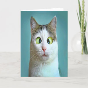 Festiva Tarjeta de cumpleaños de gato loco divertido lindo