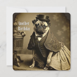 Festiva Tarjeta de cumpleaños de Pug de Victoria