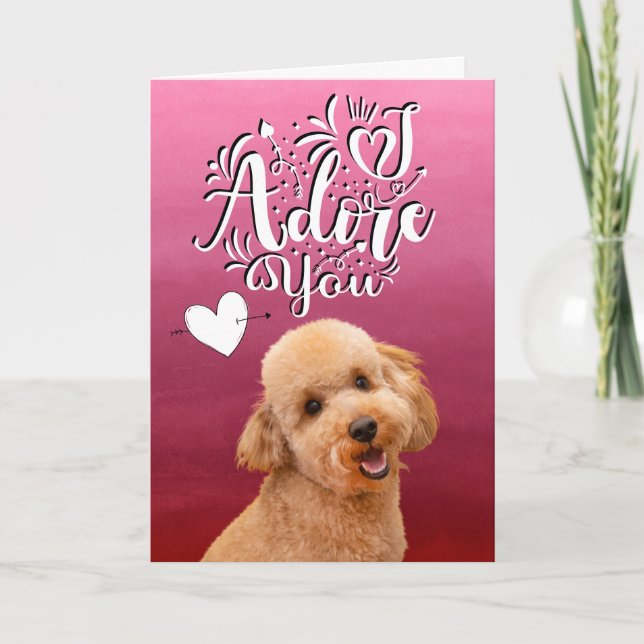 Festiva Tarjeta de cumpleaños de San Valentín Poodle ... T (Anverso)