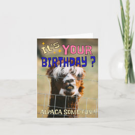 Festiva Tarjeta de cumpleaños divertida Alpaca - Humor de 