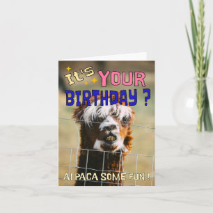 Festiva Tarjeta de cumpleaños divertida Alpaca - Humor de 
