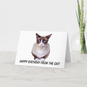 Festiva Tarjeta de cumpleaños feliz siamesa