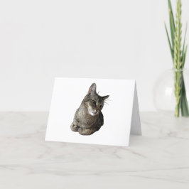 Festiva Tarjeta de cumpleaños para gatos abisinos