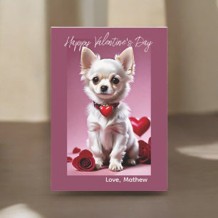 Festiva Tarjeta de Cupido Chihuahua
