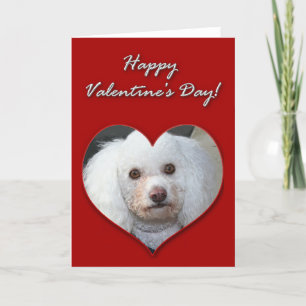 Festiva Tarjeta de Día de San Valentín de cangrejo blanco