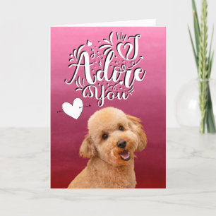Festiva Tarjeta de día de San Valentín de Caniche ... Te a
