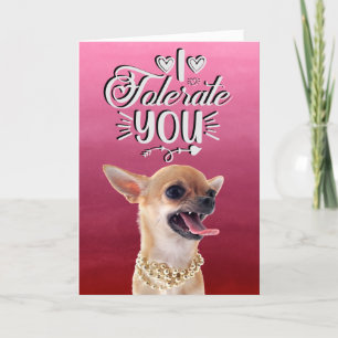 Festiva Tarjeta de día de San Valentín de Chihuahua molest