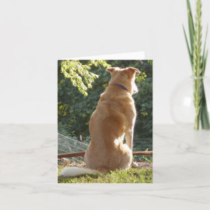 Festiva Tarjeta de Día de San Valentín Golden Retriever