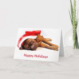 Festiva Tarjeta de Dogue de Bordeaux buenas fiestas
