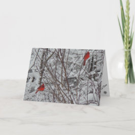 Festiva Tarjeta de dos cardenales 5x7 para Navidades