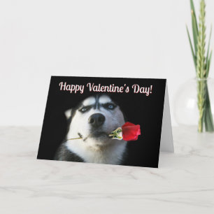 Festiva Tarjeta de El día de San Valentín Cute Husky Rosa