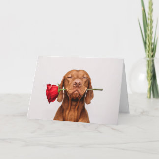 Festiva Tarjeta de El día de San Valentín de perro lindo