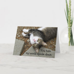 Festiva Tarjeta de El día de San Valentín del gato mundial