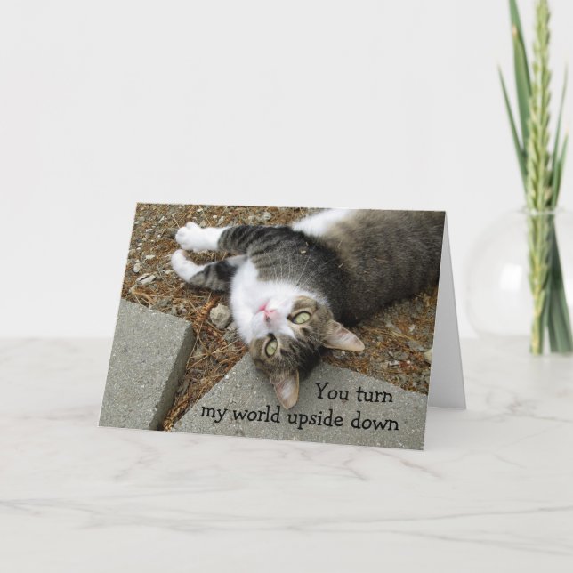 Festiva Tarjeta de El día de San Valentín del gato mundial (Anverso)