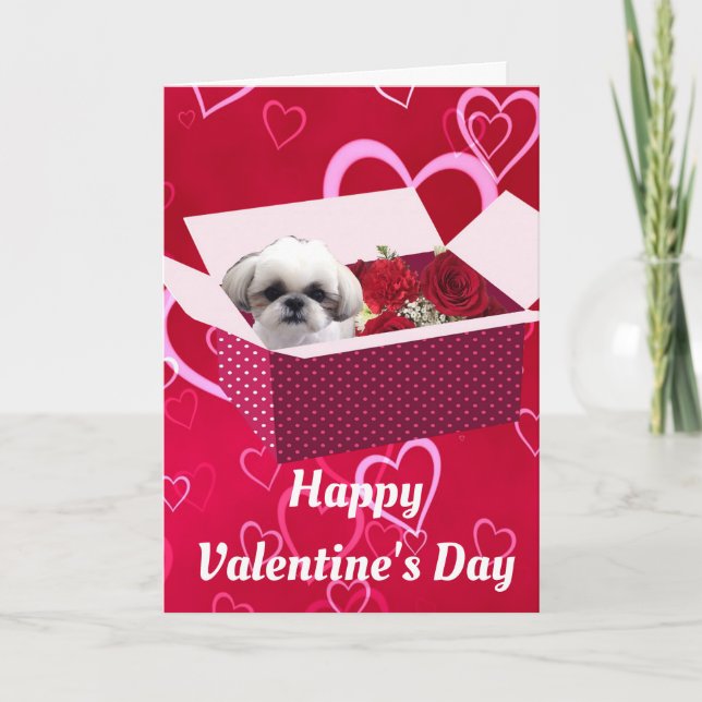 Festiva Tarjeta de El día de San Valentín Shih tzu, perro (Anverso)