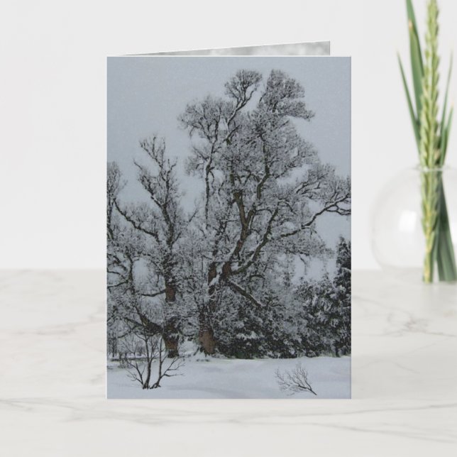 Festiva Tarjeta de Eve del invierno (Anverso)