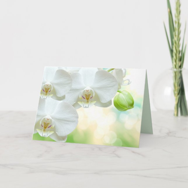 Festiva Tarjeta de felicitación (Anverso)