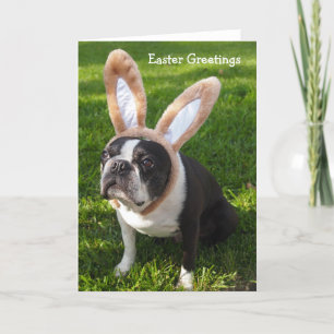 Festiva Tarjeta de felicitación 2 de Pascua de Boston Terr