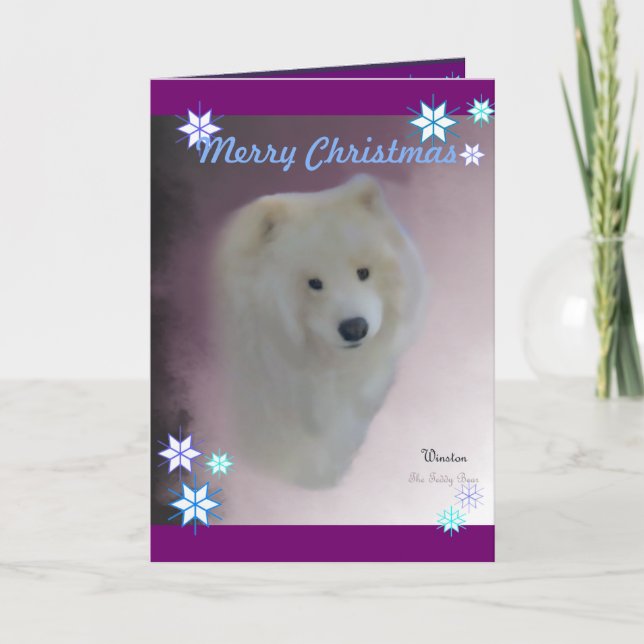 Festiva Tarjeta de felicitación A7 Samoyed, con sobre (Anverso)